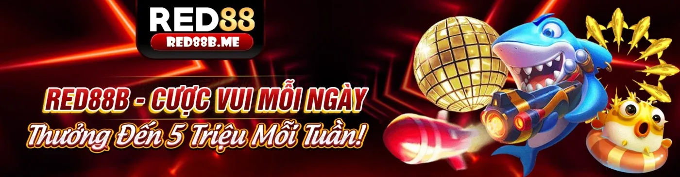 Thành viên VIP kubet77 tận hưởng trải nghiệm cá cược độc quyền